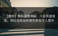 【震惊】黑料深度揭秘：八卦风波背后，网红在后台的角色疯狂令人意外