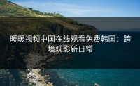 暖暖视频中国在线观看免费韩国：跨境观影新日常