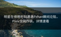 明星在傍晚时刻遭遇Pzhan瞬间沦陷，Pixiv全网炸锅，详情速看