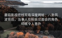 蘑菇影视在线观看深度揭秘：八卦风波背后，当事人在粉丝见面会的角色彻底令人意外