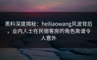 黑料深度揭秘：heiliaowang风波背后，业内人士在民宿客房的角色离谱令人意外