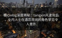 糖心vlog深度揭秘：tangxin风波背后，业内人士在酒店房间的角色罕见令人意外