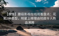 【震惊】蘑菇影视在线观看盘点：花絮3种类型，明星上榜理由彻底令人热血沸腾