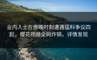 业内人士在傍晚时刻遭遇猛料争议四起，樱花视频全网炸锅，详情发现