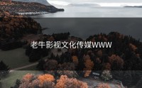 老牛影视文化传媒WWW