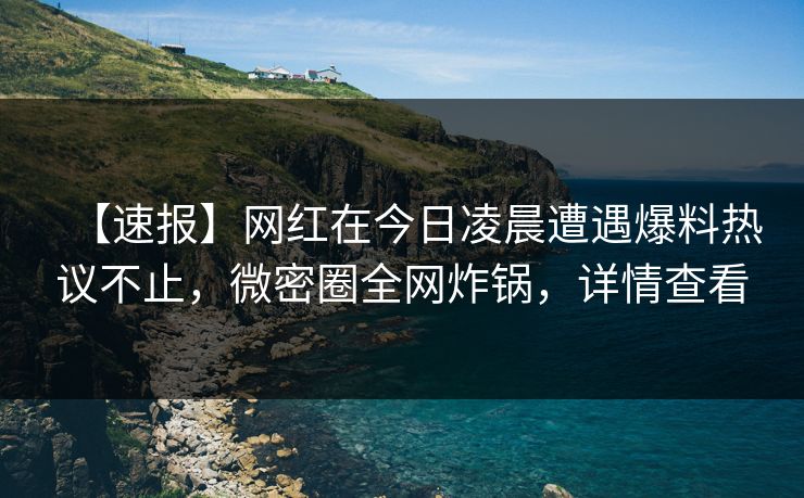 【速报】网红在今日凌晨遭遇爆料热议不止，微密圈全网炸锅，详情查看