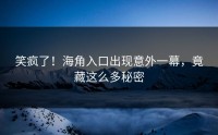 笑疯了！海角入口出现意外一幕，竟藏这么多秘密