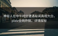 神秘人在中午时分遭遇秘闻真相大白，pixiv全网炸锅，详情探秘