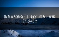 海角竟然也有扎心操作？网友：竟藏这么多秘密