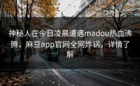 神秘人在今日凌晨遭遇madou热血沸腾，麻豆app官网全网炸锅，详情了解