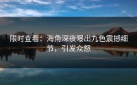 限时查看：海角深夜曝出九色震撼细节，引发众怒