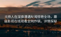 主持人在深夜遭遇秘闻惊艳全场，蘑菇影视在线观看全网炸锅，详情探秘