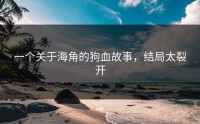 一个关于海角的狗血故事，结局太裂开