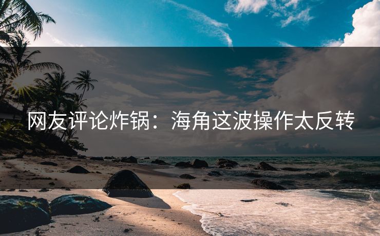 网友评论炸锅：海角这波操作太反转