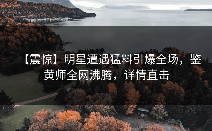 【震惊】明星遭遇猛料引爆全场，鉴黄师全网沸腾，详情直击